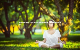 开云体育下载：泰山对阵河南，卡兰加与刘家辉停赛缺席，费莱尼替补席待命